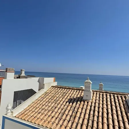 Casa Repolho *